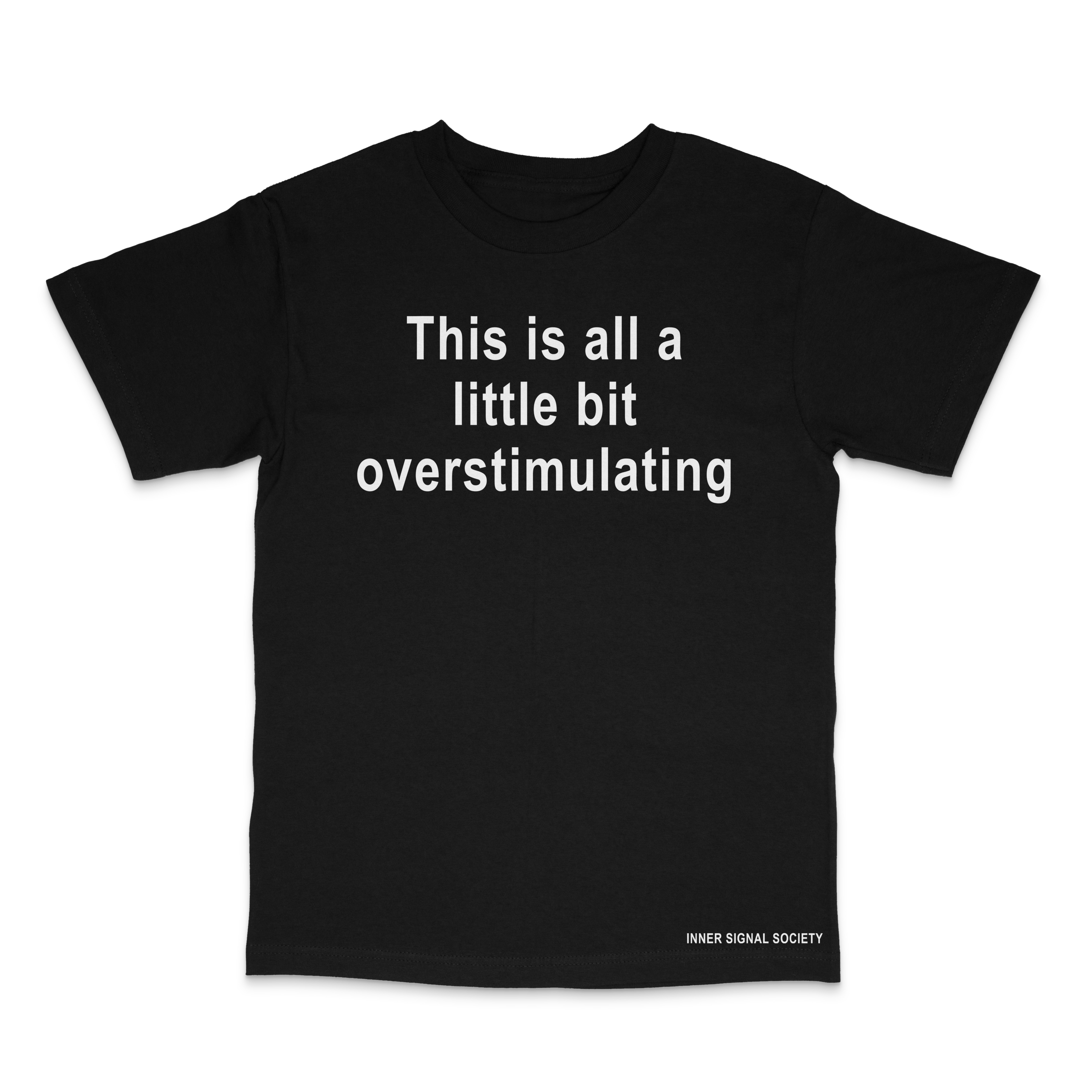 This is all a little bit overstimulating T-Shirt